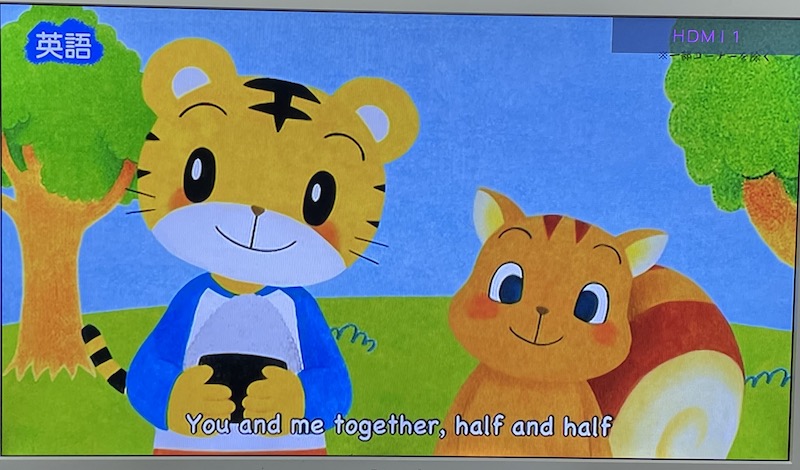 こどもちゃれんじ 無料体験セット DVD しまじろうとリス